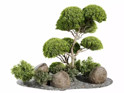 garden tree 3D model