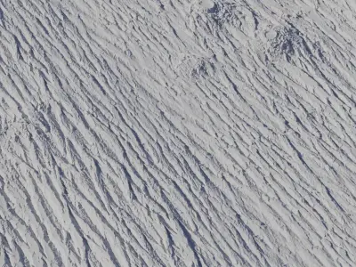 Deep Furrowed Tree Bark PBR Texture Texture