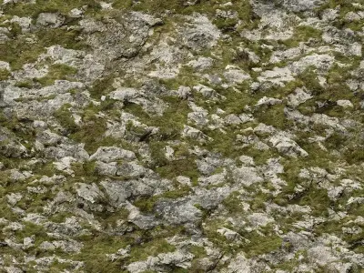 Rock and Moss Seamless Texture  Texture