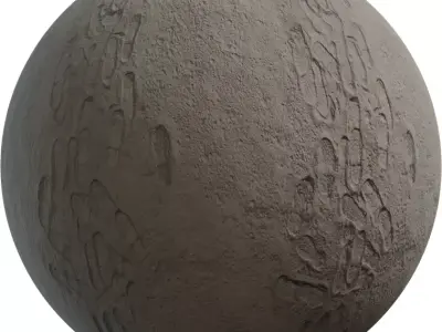 Dry Mud Path With Footprints PBR Texture  Texture