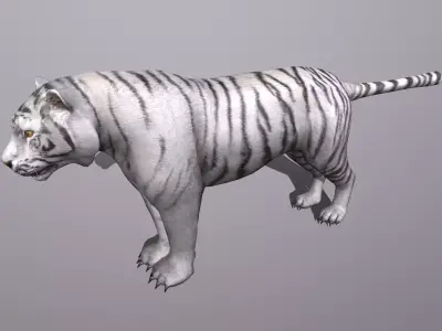tiger Low-poly 3D model