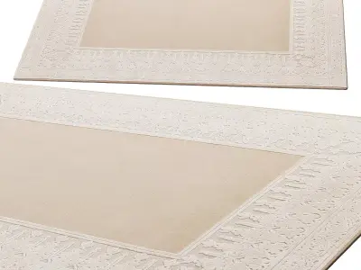 Amber Border rug by Signature 3D model