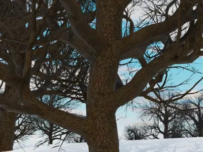 animation winter forest ver-1-0 3D model