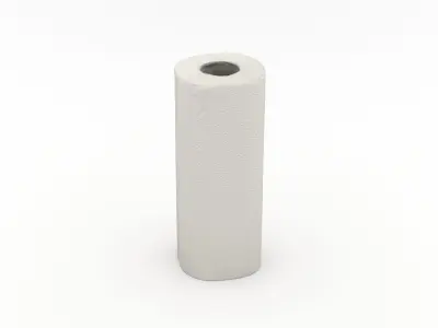 Paper Towel Roll 3D model