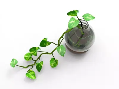 Money Plant 3D print model