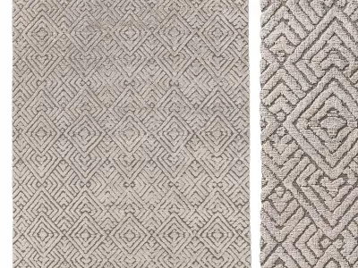 TALSARI HAND-KNOTTED SILK and WOOL RUG 3D model