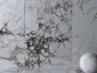 Wall Tiles Museum Breccia 160x320 Set 2 Texture