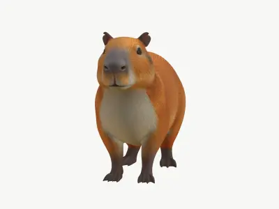  Realistic 3D Capybara Model Game Ready 
