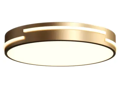  Round LED Flush Mount Gold Ceiling Light 3D model