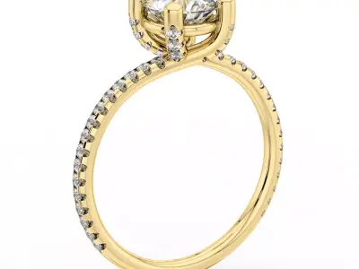 Rhinoceros V-Ray Scene Setup for 3D Jewelry Rendering 3D model
