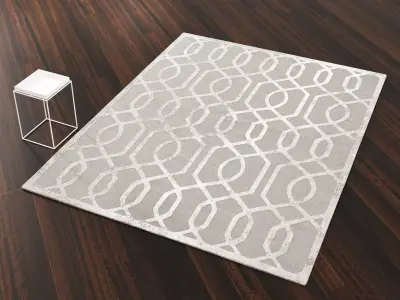 Eddy Ray Rug 3D model