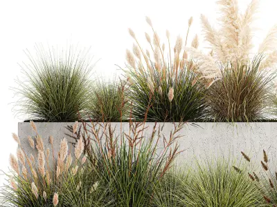 Bushes For Landscaping With Pampas Grass 1169 3D model