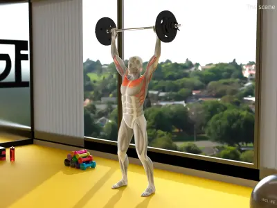  Male Muscular System Shoulder Press Animated Rigged 