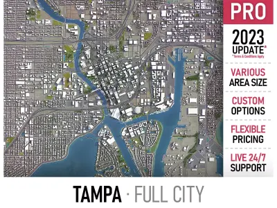 Tampa Low-poly 3D model