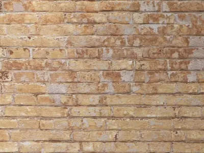 brick 462 Texture