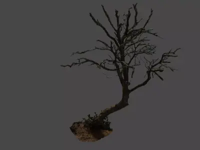 lapenatree2 3D model