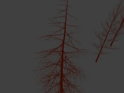  Trees without leaves 3D model