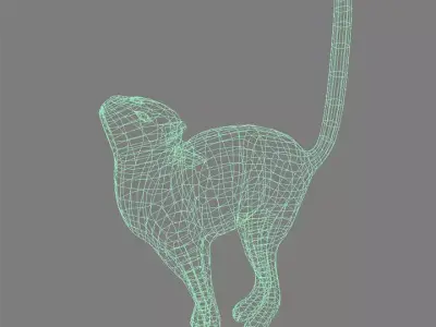 Cat acc 3D model
