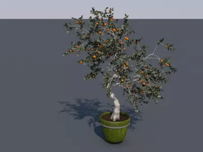 Wood orange 3D model