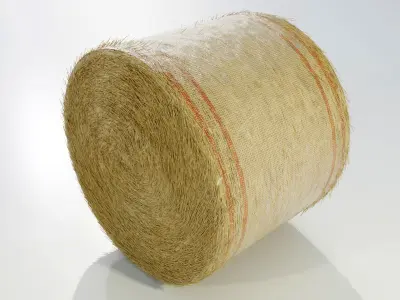Round Hay Bale 3D model
