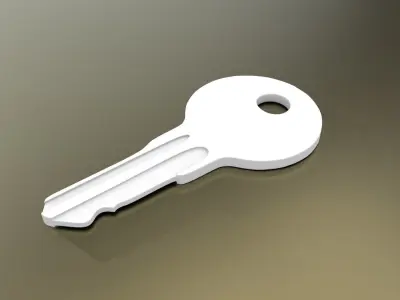 Standard Key Free 3D model