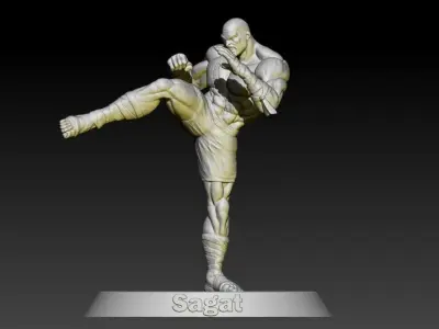 Street Fighter Sagat 3D print model