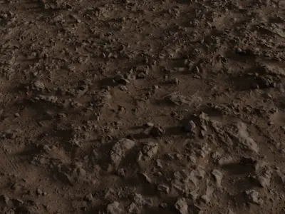 desertground06262024 3D model