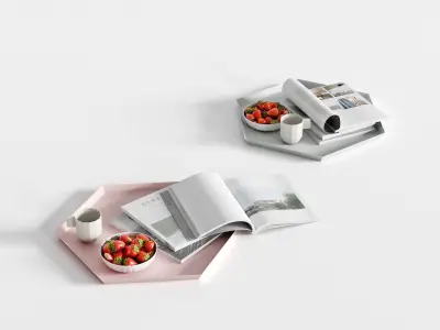 Kaleido Tray Accessories 3D model