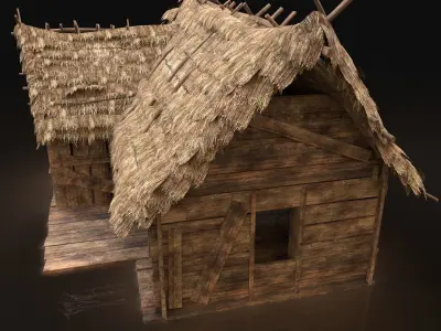 AAA Next Gen Thatched Wooden House Cottage Hut Low-poly 3D model