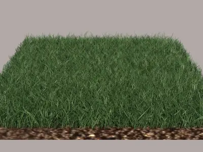 Grass and gravel 3D model