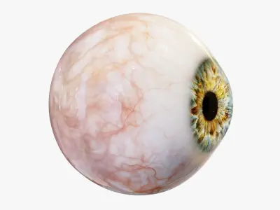  Human eye Photorealistic 