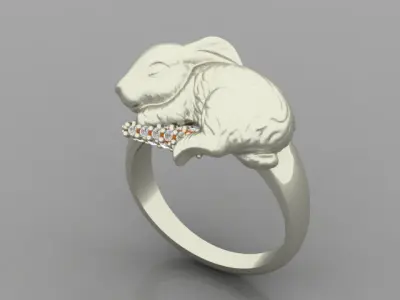 Rabbit ring 3D print model