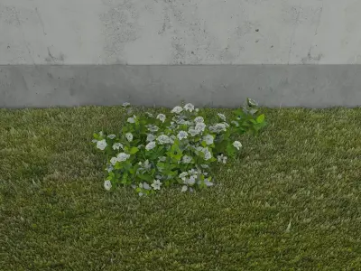 Garden Set 3D model