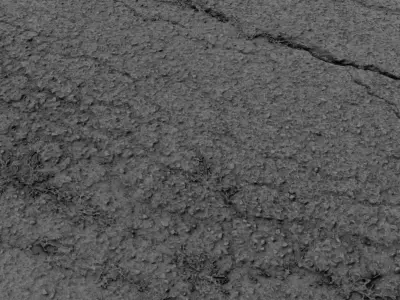 scanroadcampo01fs 3D model