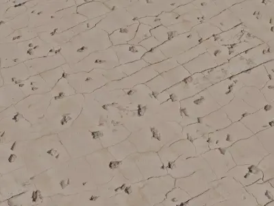 Cracked Clay Plaster Wall  Texture