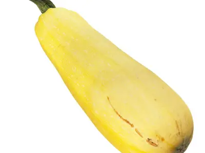 4k vegetable marrow 3D model