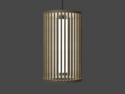 LIGHT pendant made of wood and glass 3D model
