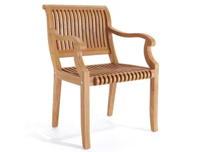 Palm Dining Armchair  3D model