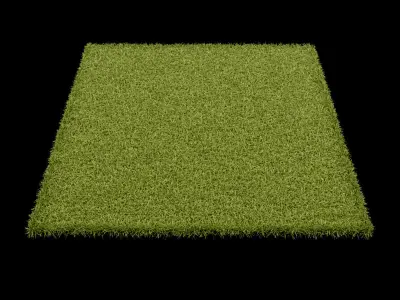 Carpets Vol 4 3D model