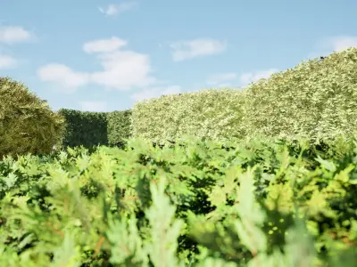 Shaped Bushes 3D Pack 01 3D model