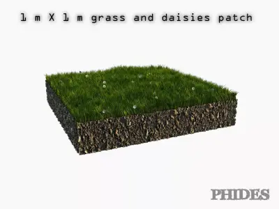 Daisies meadow patch 1 3D model