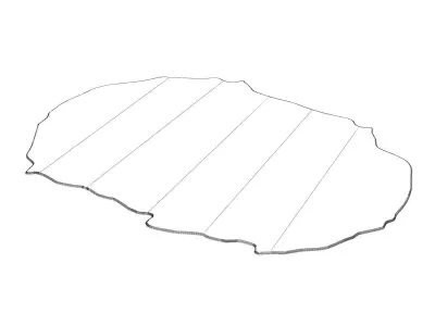 Topographie Rug 3D model