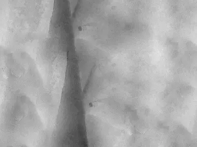 Concrete Tileable 3D Texture Texture