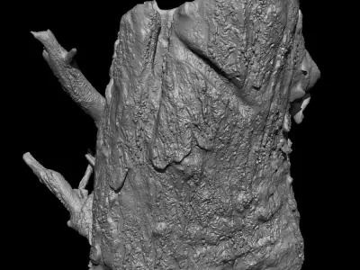 Tree Stump - High Poly Sculpt 3D model