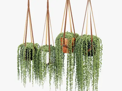 Plant hanger 3D model