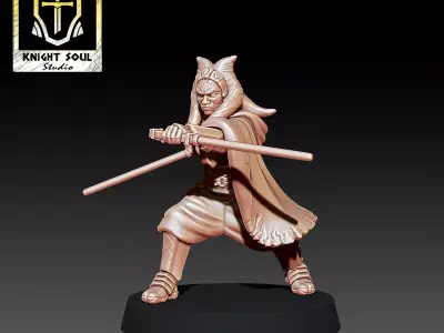 The Ronin 3D print model