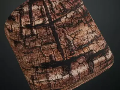 Charred Ancient Tree Log End PBR Seamless Texture