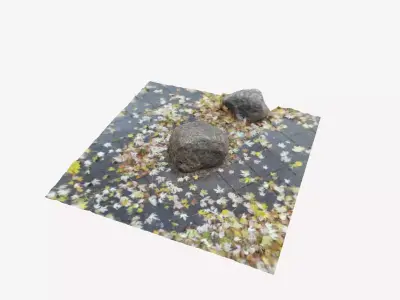 Round Stone With Moss and Leaves - A 3D model
