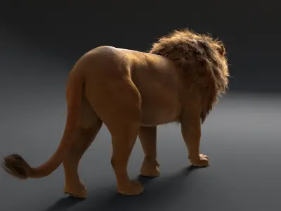  Lion with Fur Rig Animated 