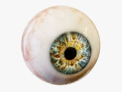  Human eye Photorealistic 